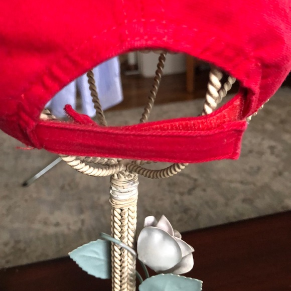 IDEA RANCH. INC - Picture 2 of 4